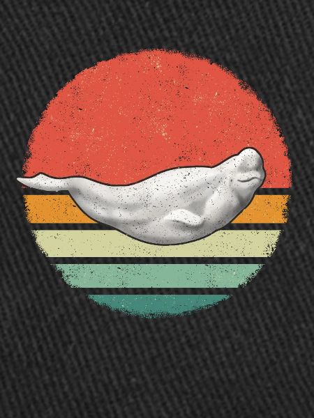 Bélugas Océan Bélugas Baleines