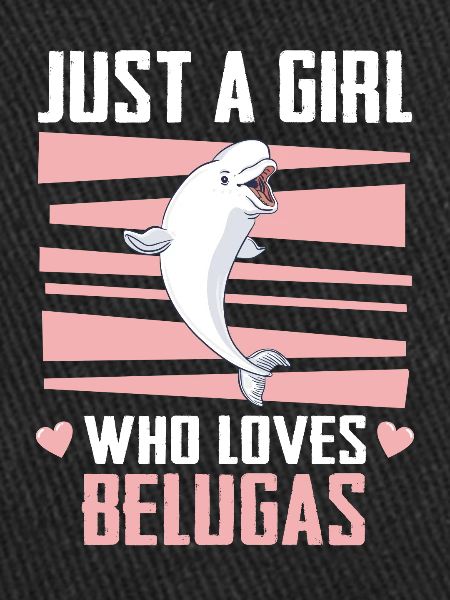 Bélugas Océan Bélugas Baleines