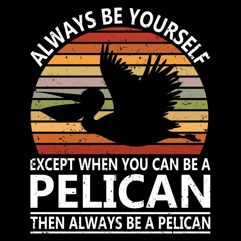 Pelican Pelicans Oiseaux Oiseaux Oiseaux