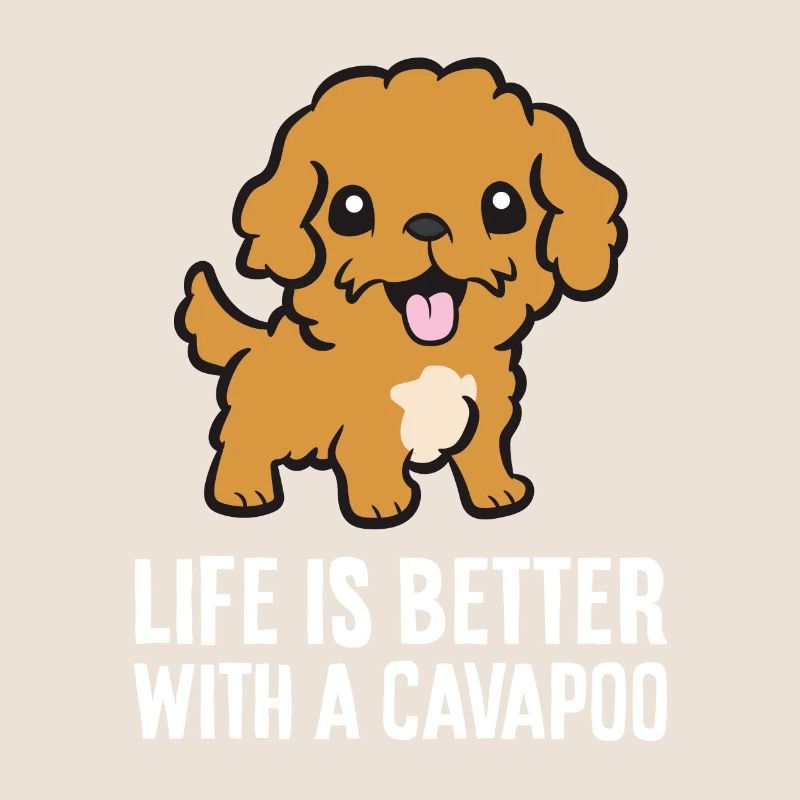 Cavapoo Haustier Hund Das Leben ist besser mit