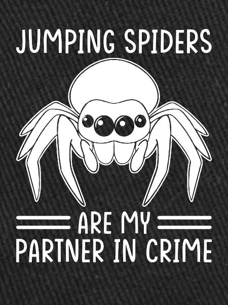 Dicton Jumping Spider