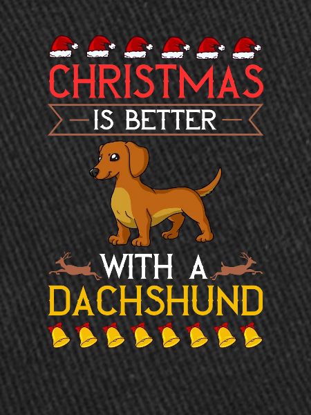 Doxie Teckel Teckel Chien Noël