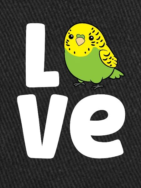 Budgerigar Oiseau Amour Budgerigar