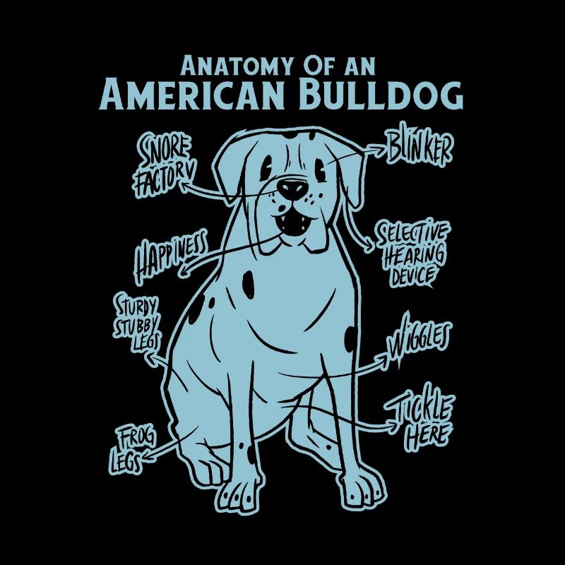 Anatomie d’un bouledogue américain