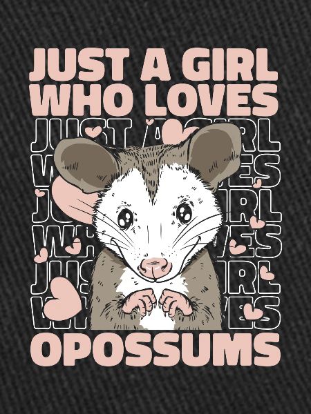 Opossum Possum Animal