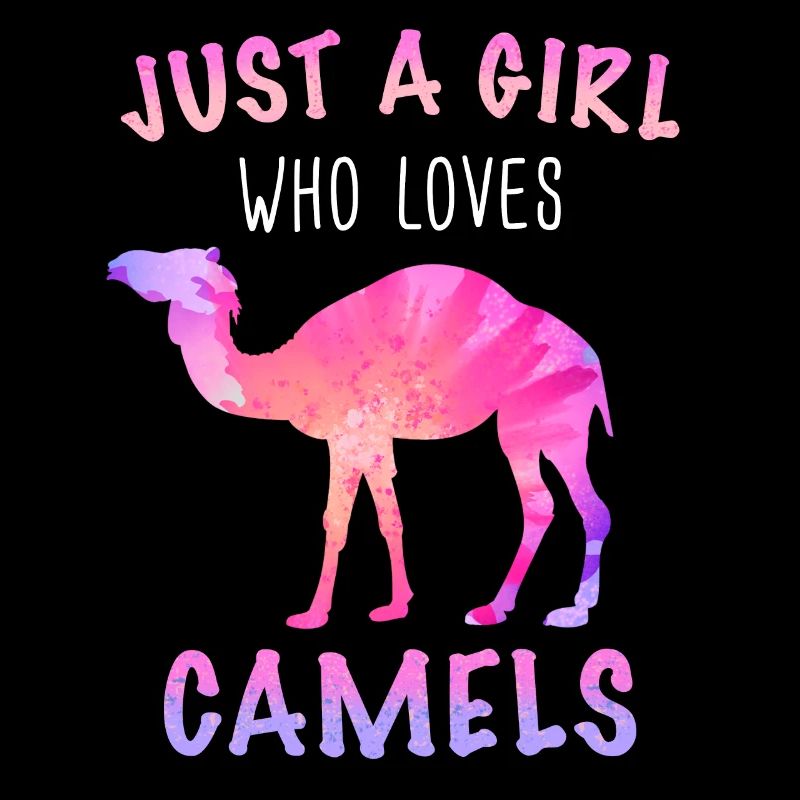 Camel Desert Camels Egypte