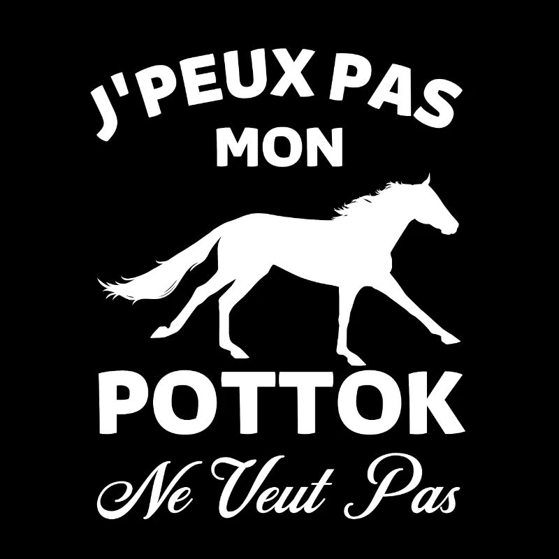 Cheval pottok 1