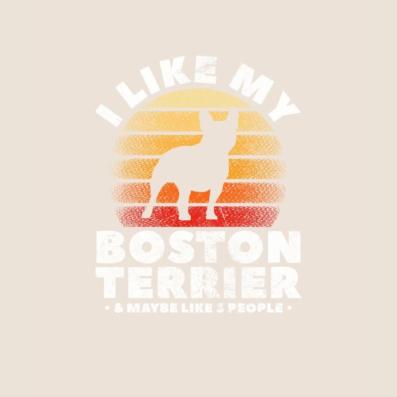 Boston Terrier