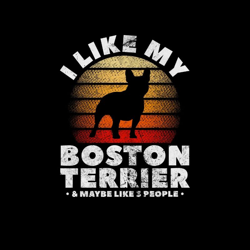 Boston Terrier