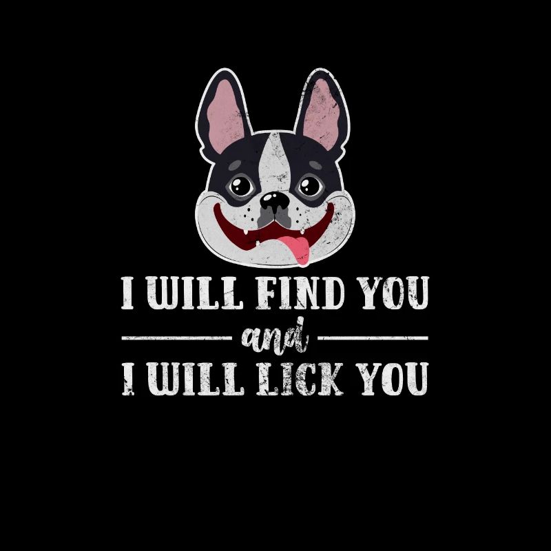 Boston Terrier