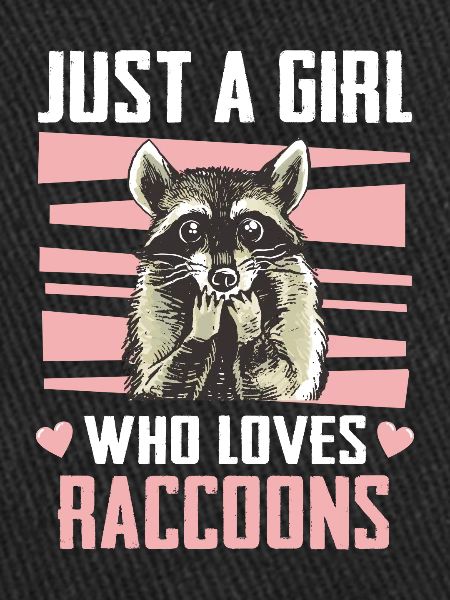 Raccoon