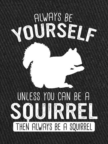 Squirrel Animal