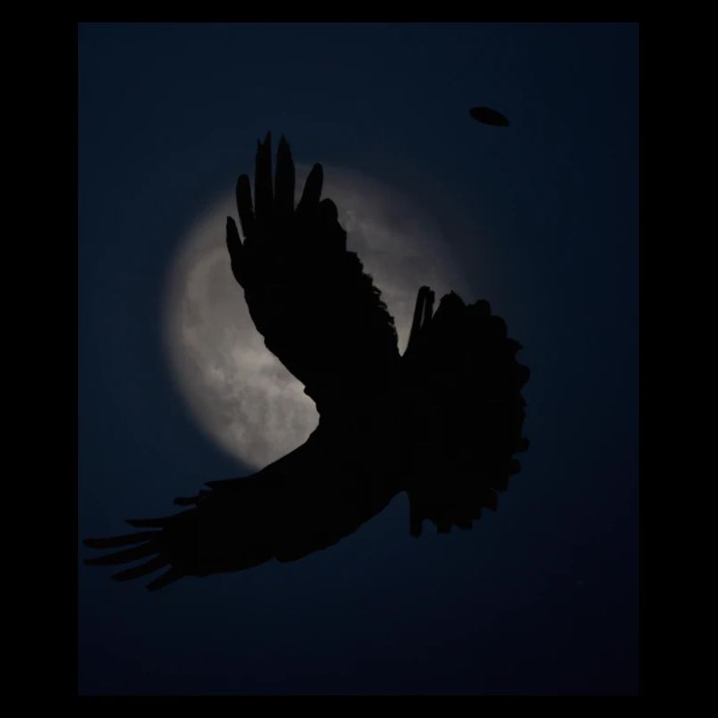 Goth Aesthetic Schatten Eines Raubvogels