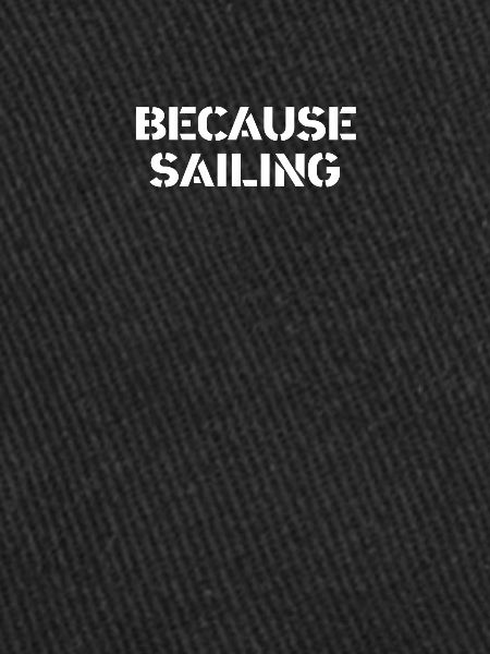 Sailing - because sailing