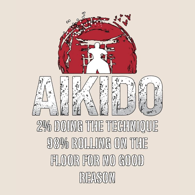 Aikido 2% Doing The Technique 98% Samurai Fighter