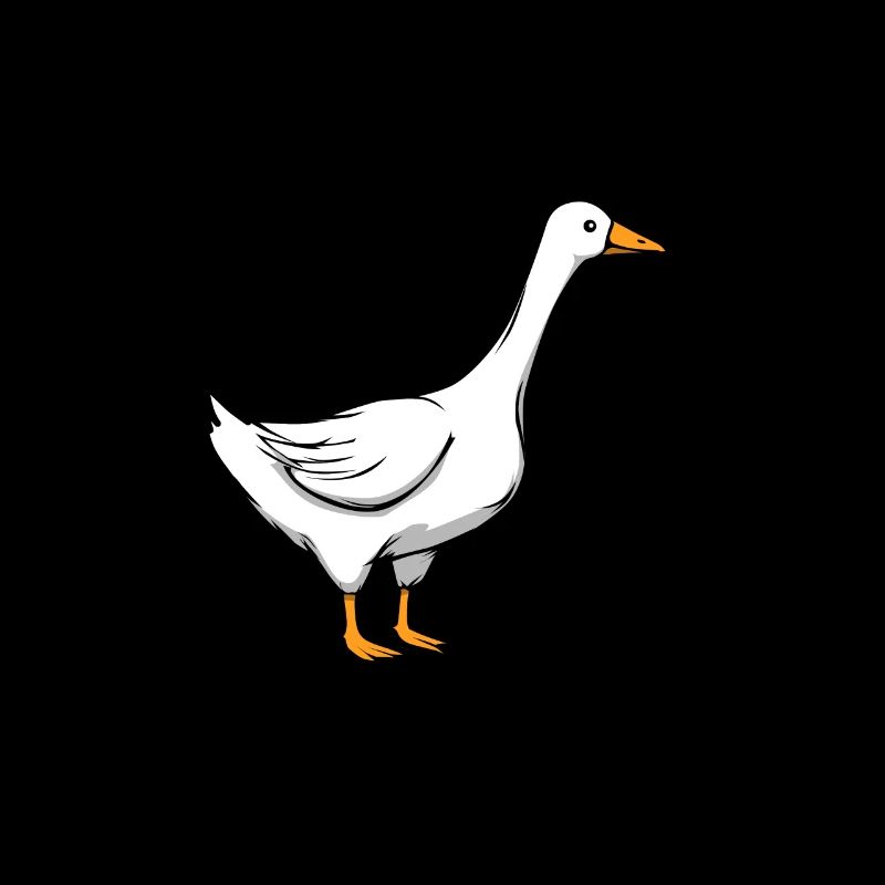 Mädchen mag Gänse Süßes Wildtier Gänse Tier
