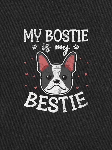 Boston Terrier