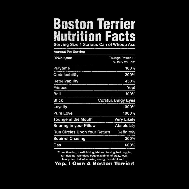 Boston Terrier