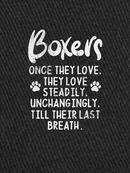 Boxer Chien