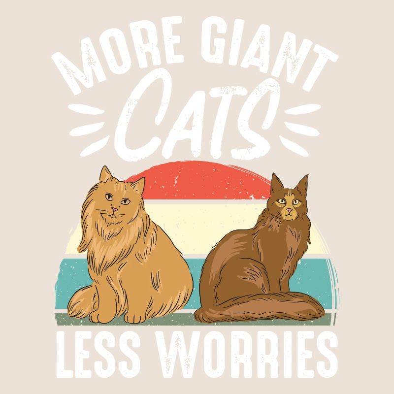 Maine Coon Chat