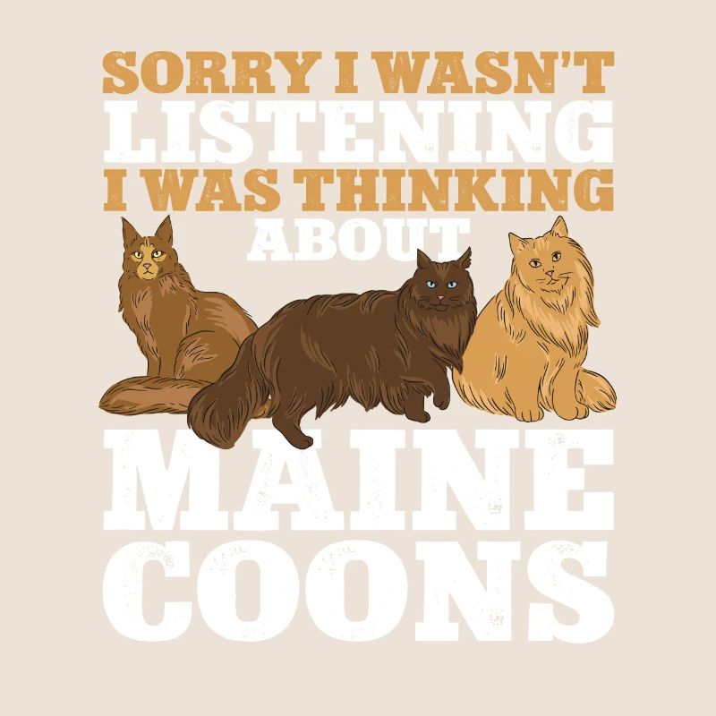Maine Coon Cat