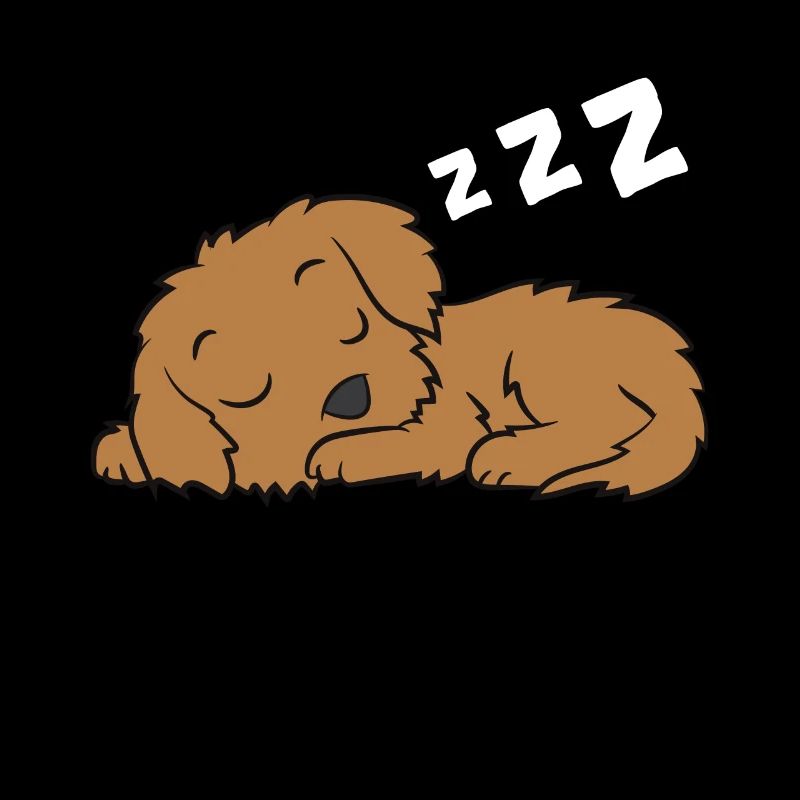 Cockapoo Pyjama Mignon Cockapoo Chien Sommeil