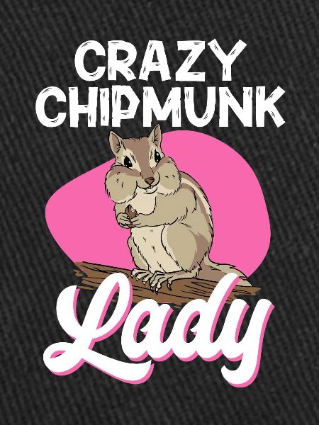 Chipmunk Rodent Gift