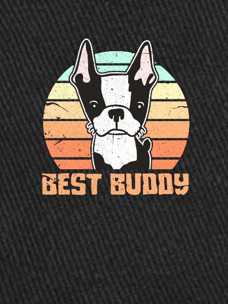 Boston Terrier