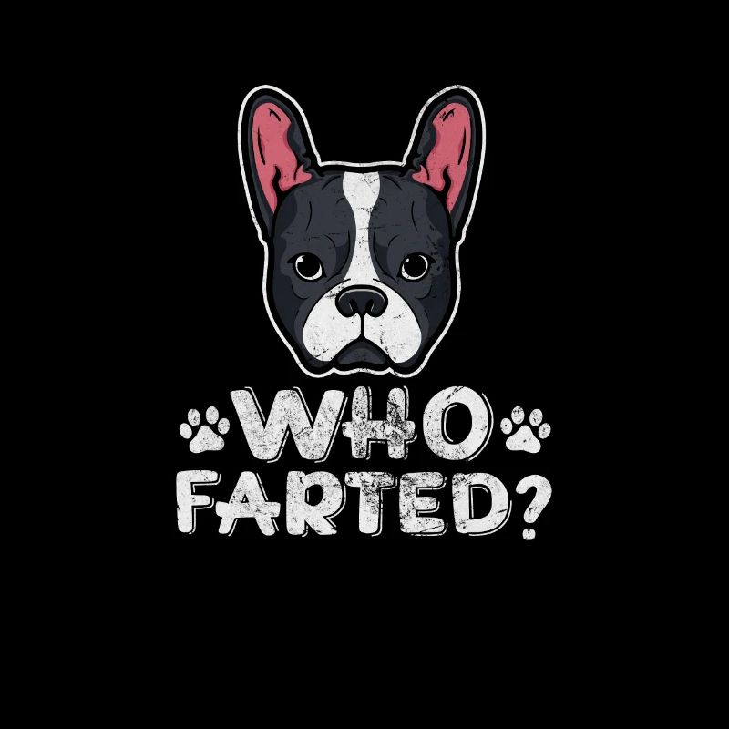Boston Terrier