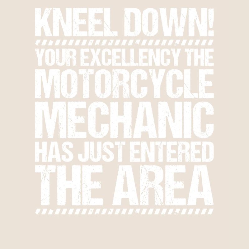 Two-wheel mechatronics engineer Motorcycle Motorcycle Mechanic