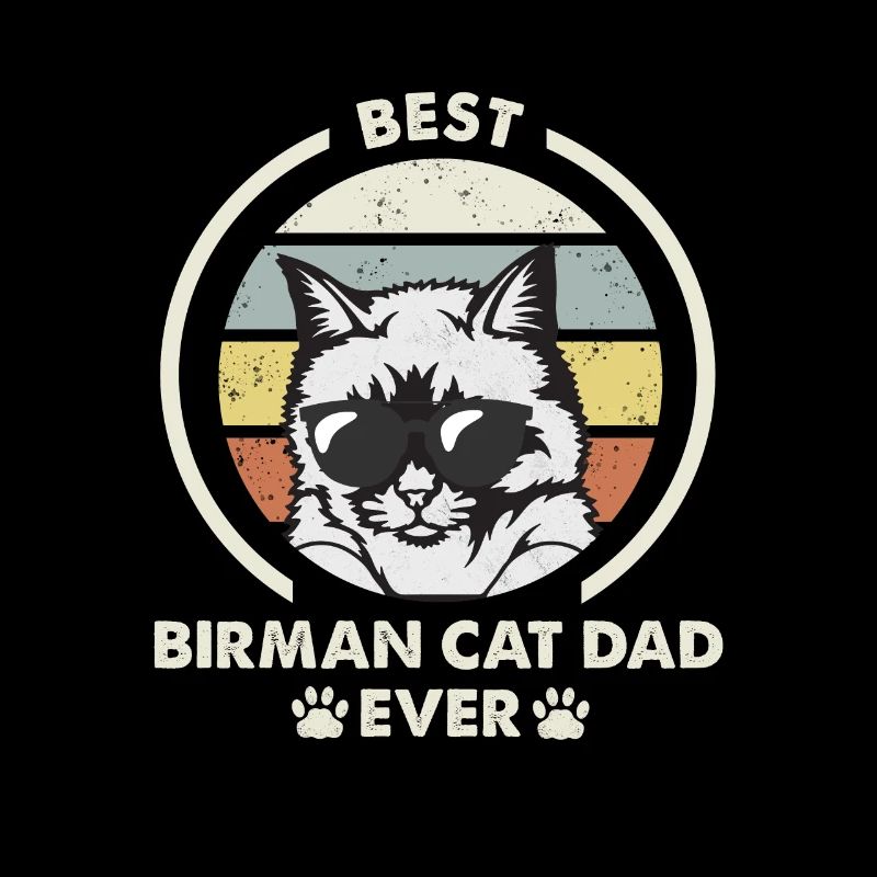 Papa chat - Birman Katze