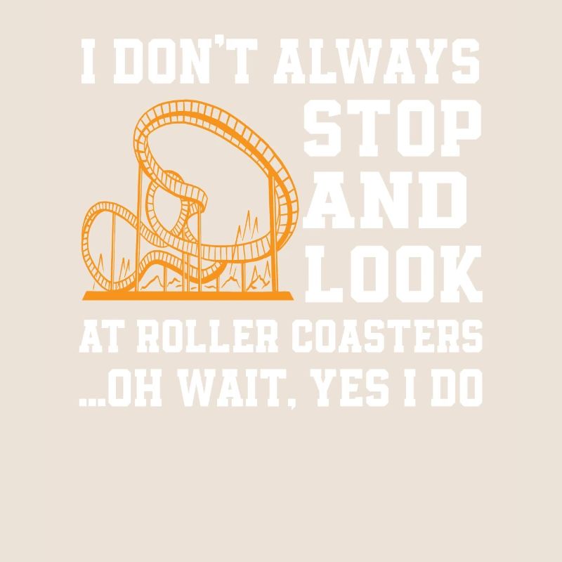 Fun Roller Coaster Gift