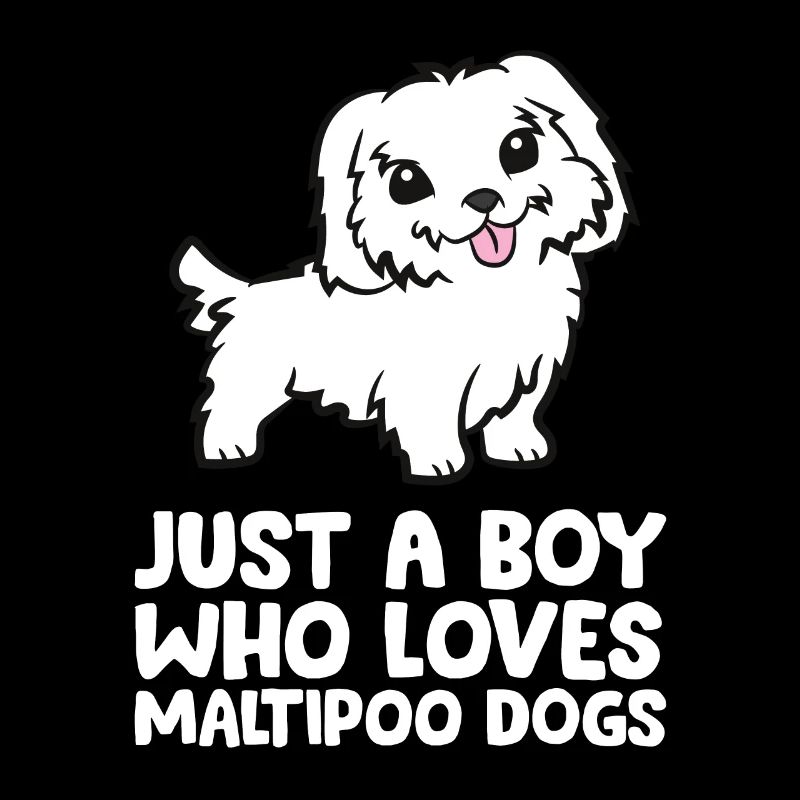 Nur ein Junge, der Maltipoo-Hunde liebt
