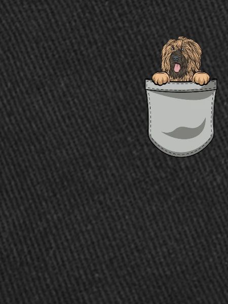 Briard Gift Dogs