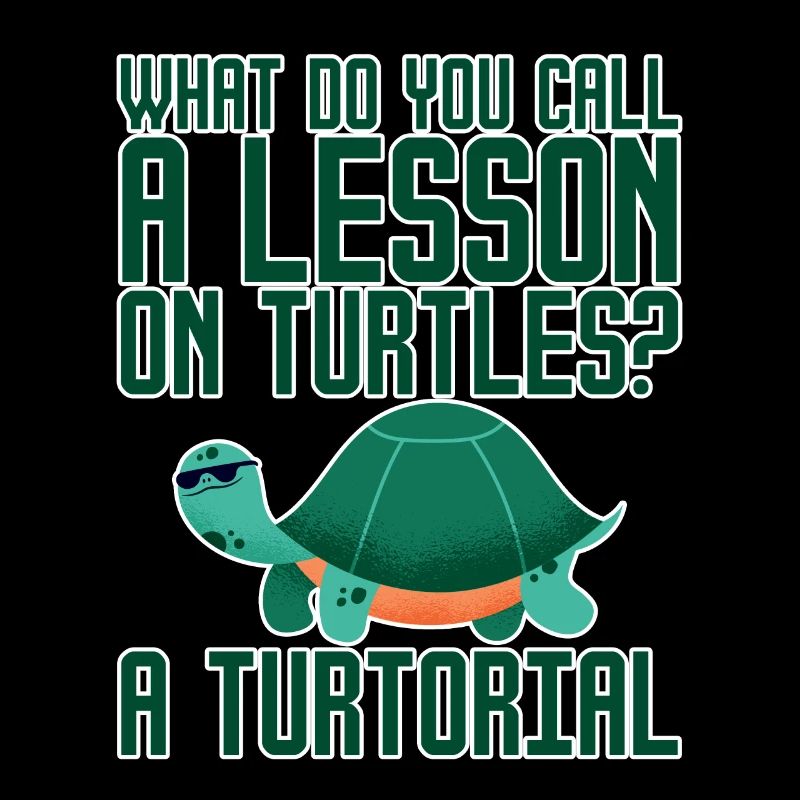 What Do You Call A Lesson On Turtles, A Turtorial2