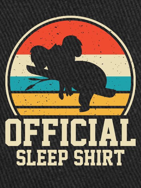Koala sleep