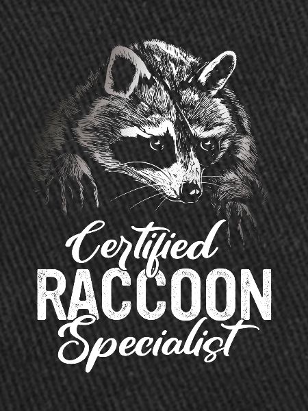 Raccoon