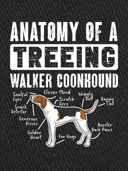 Treeing Walker Coonhound