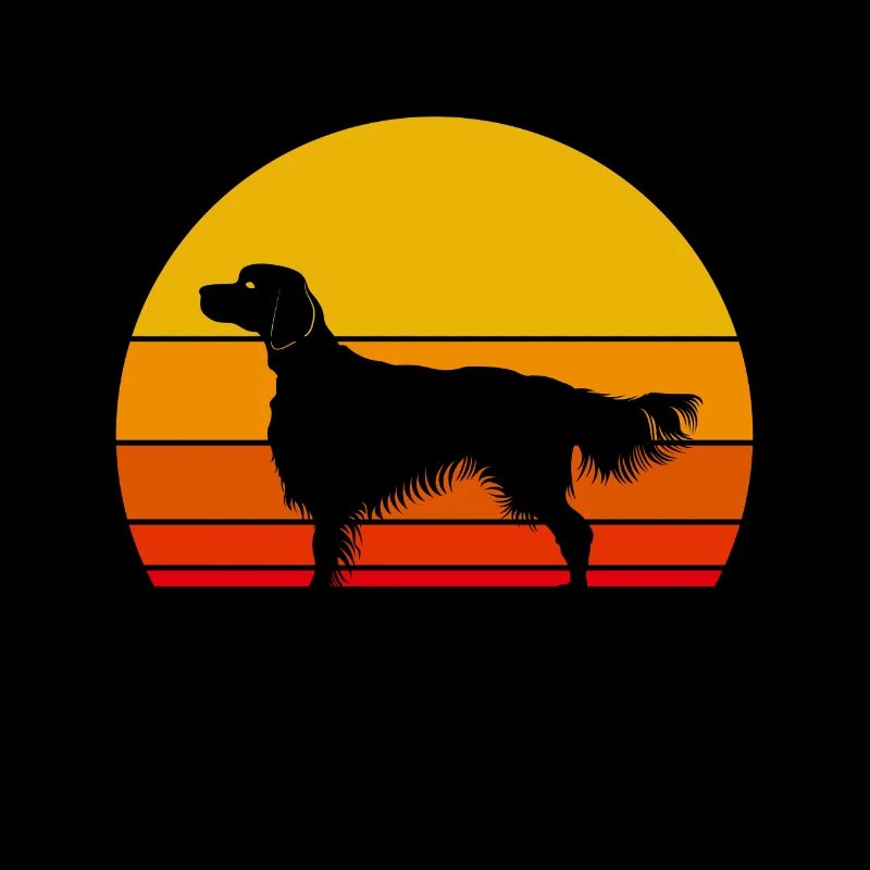 Irish Red and White Setter