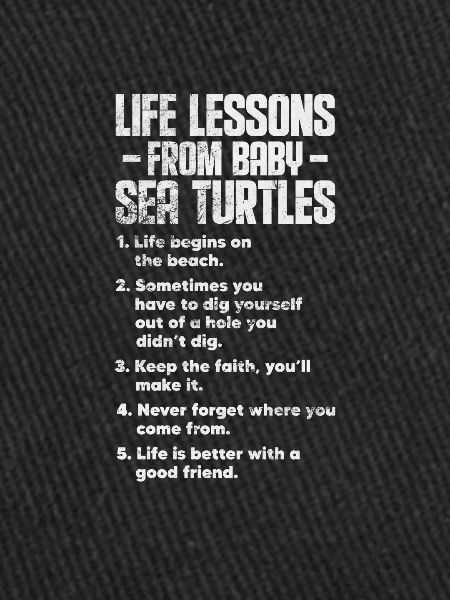 Tortue
