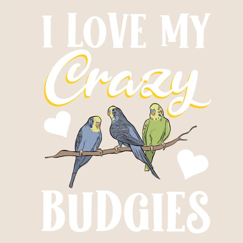 Budgerigar Perruche Oiseau Cadeau pour animaux de compagnie