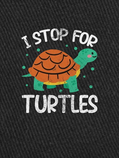 Turtle