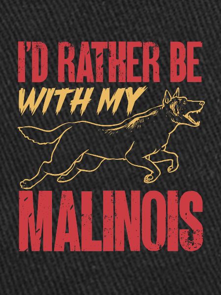 Malinois Berger Belge Malines Chien