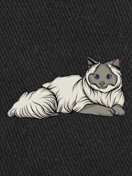 Chat