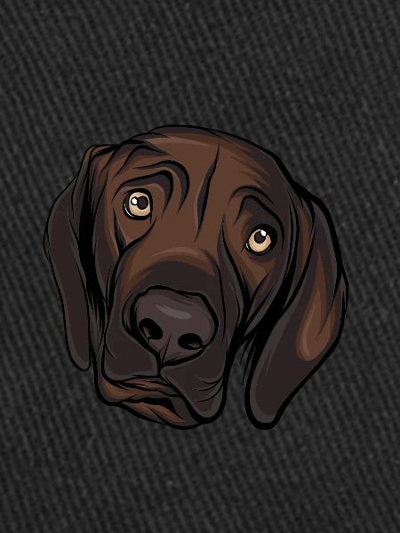 Labrador