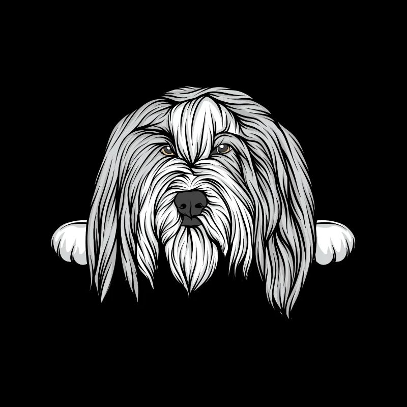 Chien