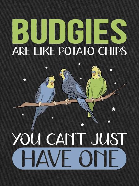 Budgerigar owner | Budgerigars Gift
