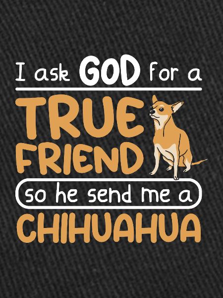 True friend dog chihuahua