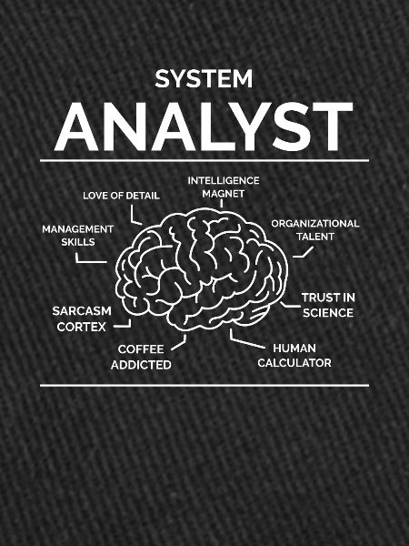 Analyste de systèmes