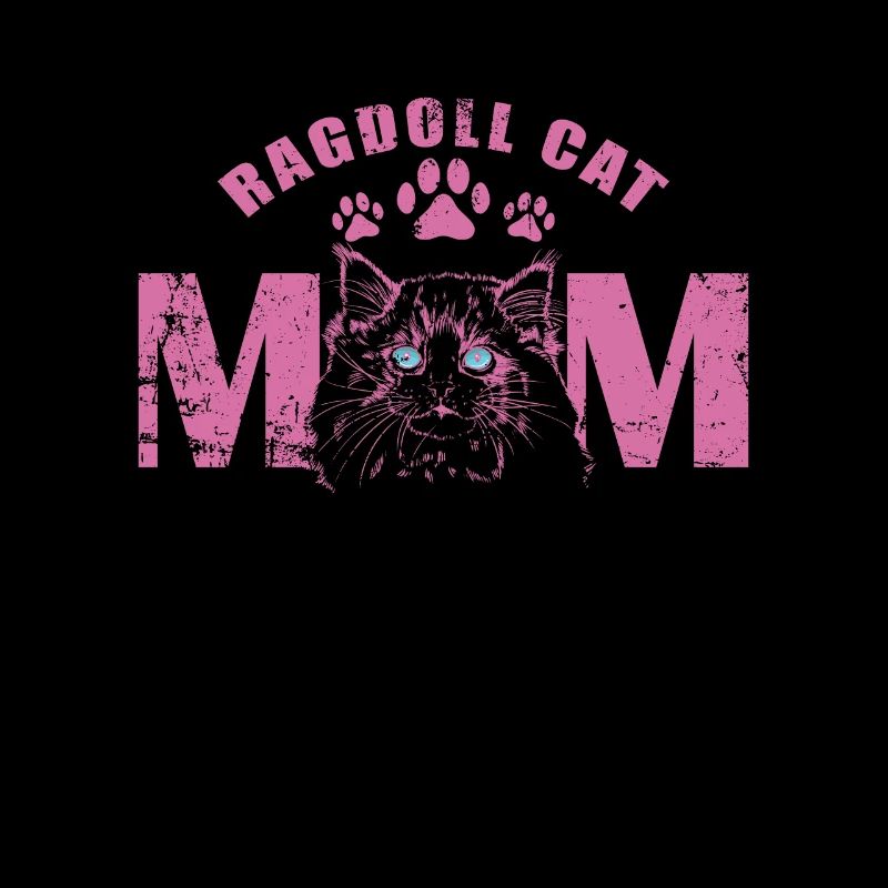 Ragdoll Cat Maman Race domestique de chat